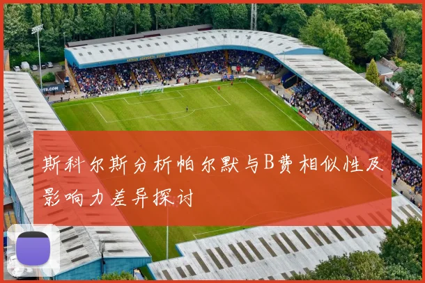 斯科尔斯分析帕尔默与B费相似性及影响力差异探讨