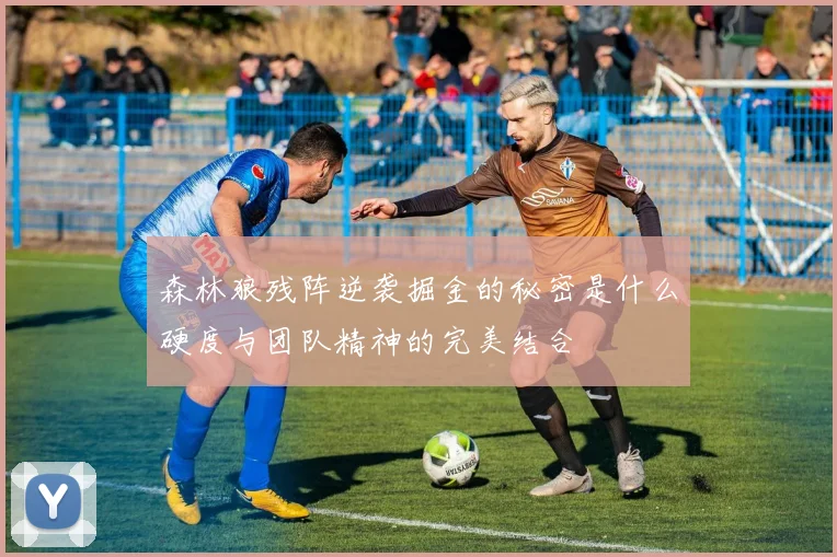 森林狼残阵逆袭掘金的秘密是什么硬度与团队精神的完美结合